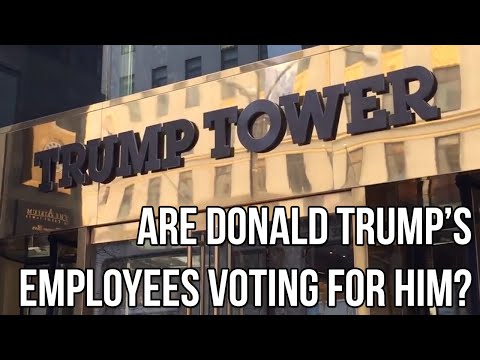Are Donald Trump's Employees Voting for Him?