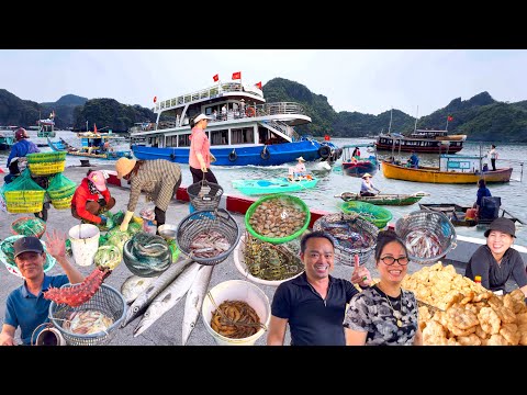 Đảo Cát Bà Lớn Nhất Hải Phòng | Hàng 1000 Năm Tuổi Làng Chài Cái Bèo