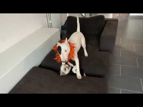 Bravo !!!! Tu m as eu 😭