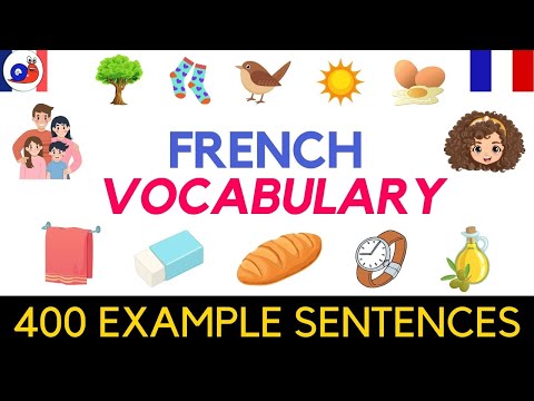 French vocabulary for beginners: 100 common words with examples