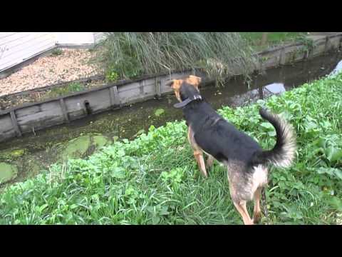 Impressie Uitrenzone Westknollendam