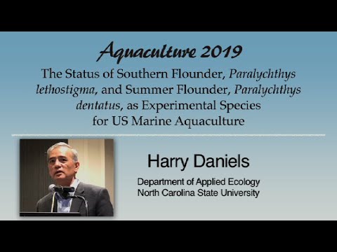 Harry Daniels: Southern Flounder and Summer Flounder Aquaculture