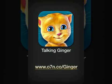 Talking Ginger 3