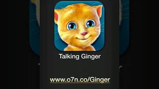 Talking Ginger 3