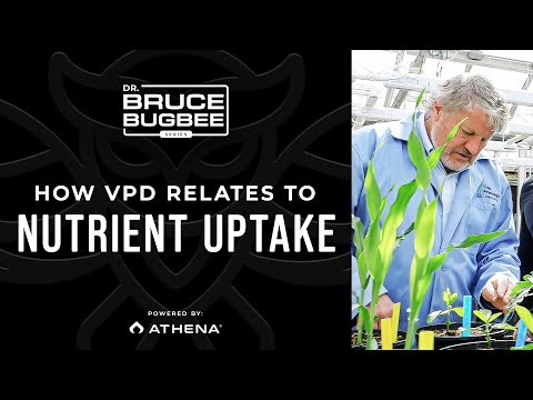 Bruce Bugbee Series – How VPD Relates to Nutrient Uptake