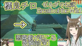 【橒良チロ】チベスナ奇声とともに宙を舞う(笑)【ブレワイ】