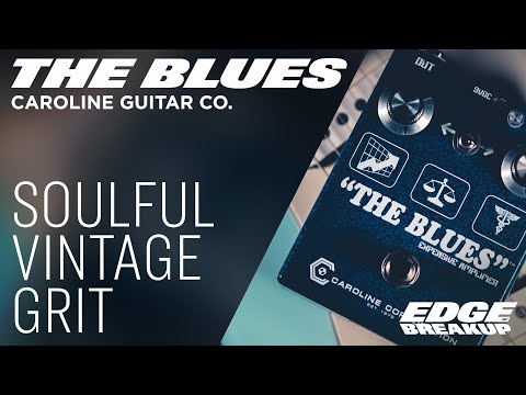 Caroline Guitar Company The Blues Expensive Amplifier image 3