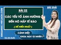 Khoa học tự nhiên 7 Cánh diều Bài 22: Các yếu tố ảnh hưởng đến hô hấp tế bào - Trang 104, 106