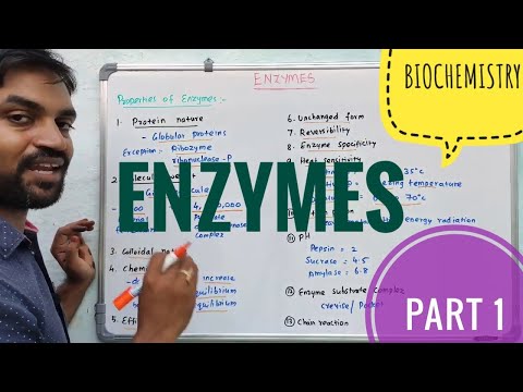 Enzymes | Part 1 | Biochemistry | V Senthilnathan