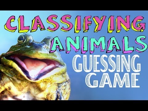 Classifying Animals