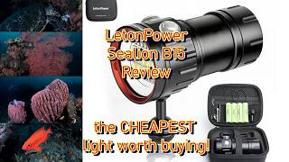 The CHEAPEST underwater video light that actually works