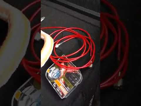 President Randy 3 Autohalterung