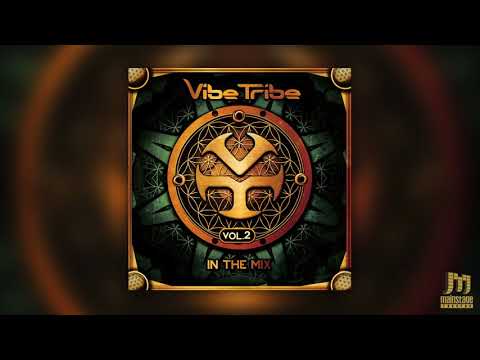 Vibe Tribe - In The Mix (Vol.2)
