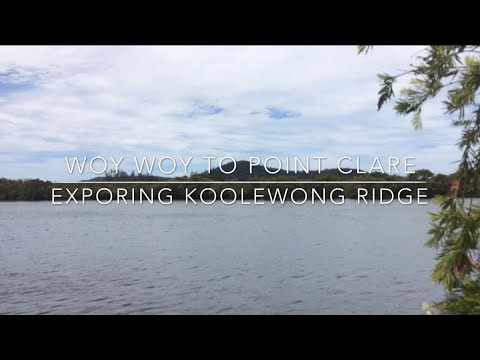 Exploring Koolewong Ridge: A hike from Woy Woy to Point Clare