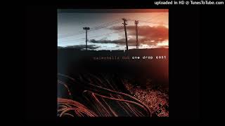 Salmonella Dub - Slide