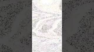 WOW SUPER SEXY AND SUPER GANDA 