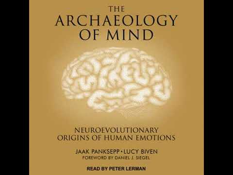 Archaeology of Mind: Neuroevolutionary Origins of Human Emotions - Jaak Panksepp