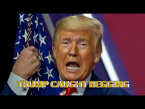 Qatar's Billion-Dollar Bribe Plane to Trump Is Way More Ridiculous Than Anyone Imagined!