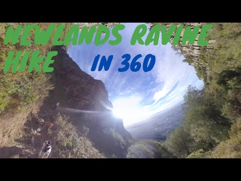 LET'S GO EXPERIENCE - NEWLANDS RAVINE HIKE IN 4K 360