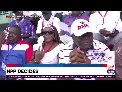 NPP postpones constitutional amendments