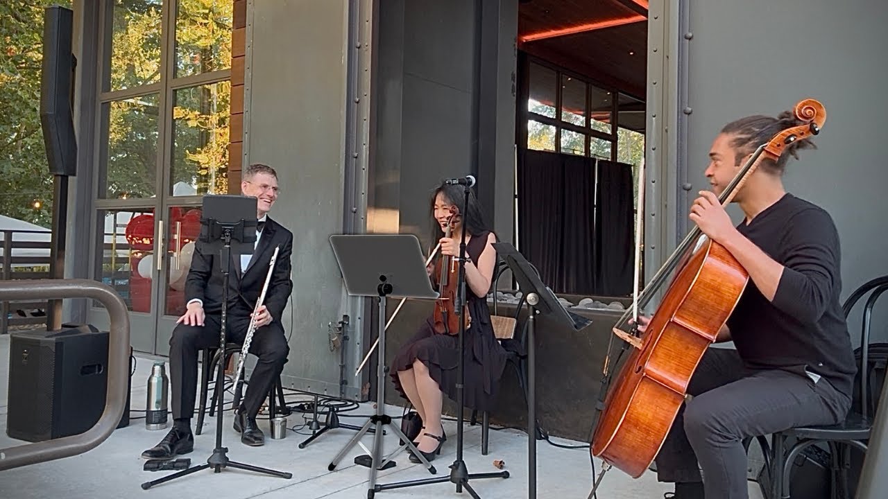 Promotional video thumbnail 2 for Ron Glenn Performances