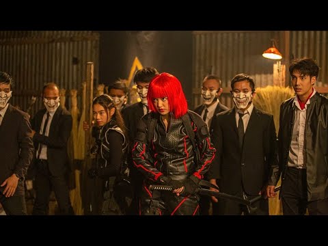 33 Кота И Компания Владимир Цена