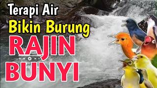 Download lagu AMPUH‼️ 2 JAM SUARA GEMERCIK AIR SUNGAI UNTUK MEMBANTU BURUNG RAJIN BUNYI mp3