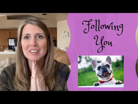Why Does My Dog Follow Me? How Do I Get My Dog To Stop Following Me?