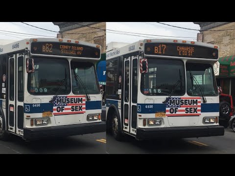 B17 Bus