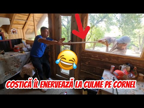 A întrecut orice măsură așa ceva 😱😱! Căsuța din Pădure !