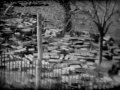 UNIQUE FOOTAGE OF THE KENT FLOODS 9 5mm 1953