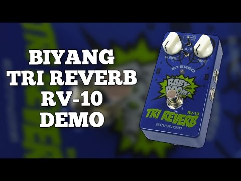 Biyang RV-10 Tri-Reverb Proven Player Verb Excellent Price Fast U.S. Ship  No wait times image 3