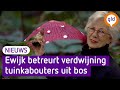 Kidnapper neemt Josefiens kabouters weg, maar ze gaat hoe dan ook door