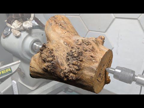 BRANCHING OUT: Woodturning a Bowl from Elm's Best Bits