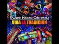 Mujer Divina Spanish Harlem Orchestra HD