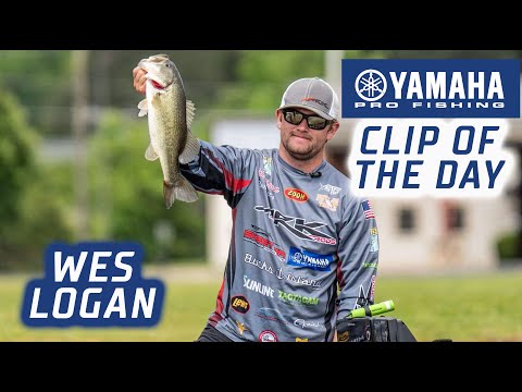 Yamaha Clip of the Day: Wes Logan becomes Bassmaster Champion