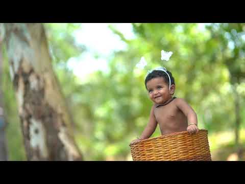 Paanya's Cake Smash Teaser