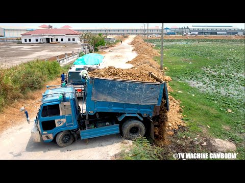 Extreme Excellent Process Dump Truck Unloading And Dozer Spreading Stone Into Water Project