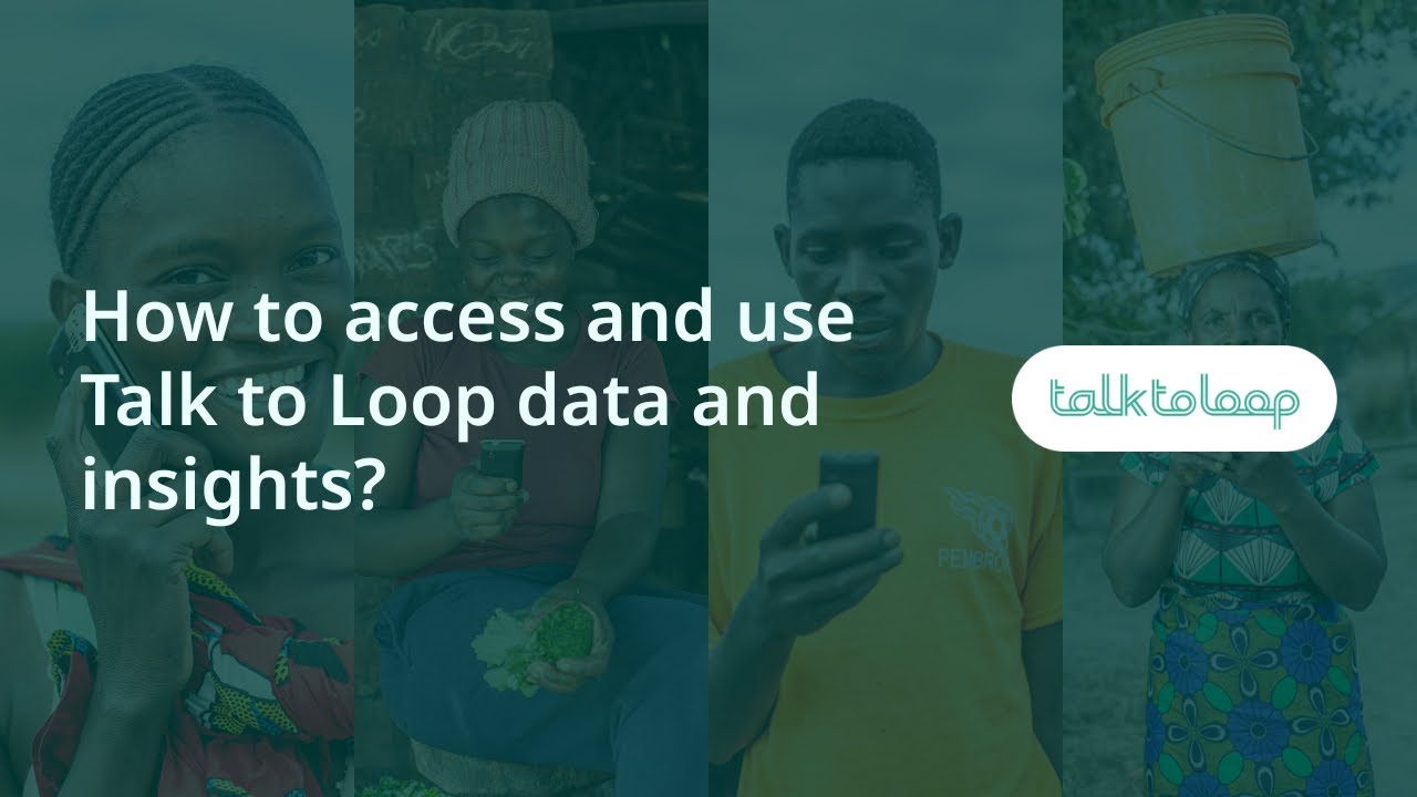 How to access and use Talk to loop data and insights?