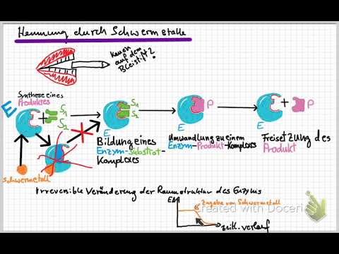 Enzymhemmung durch Schwermetalle