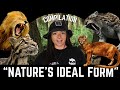 The History of Cats (That We Know Of) Compilation | Lindsay Nikole DEFAULT Thumbnail