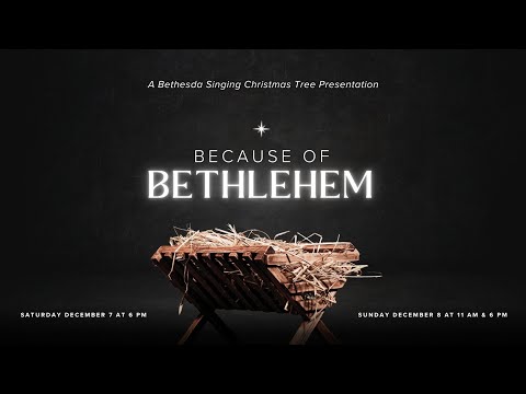 Play Video Youtube Video