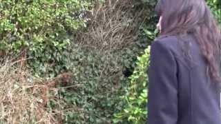 The Blackout - Keep On Moving -  Music Video - By Andrew Bache &amp; Naomi Rogers