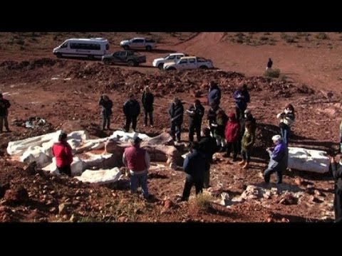 Descubren fósiles de dinosaurios gigantes en Argentina