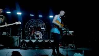 Bone Digger - Bear Hands (Live)