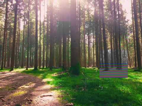 Forest Uprising   - (Snow Leaf Panther)