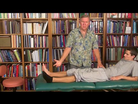 Primal Reflex Release Technique (PRRT) - Novel Treatment of Fibular Fracture Case