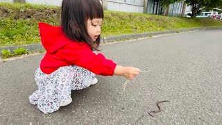 2歳のゆずちゃん、初めて生きたミミズに遭遇🪱！