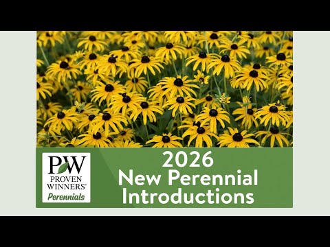 Announcing Proven Winners' New Lineup of 2026 Perennials