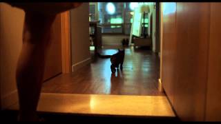 ［2015 MSFF］비정성시_ 열대야 / 서은선